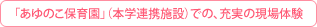 「あゆのこ保育園」（本学連携施設）での、充実の現場体験