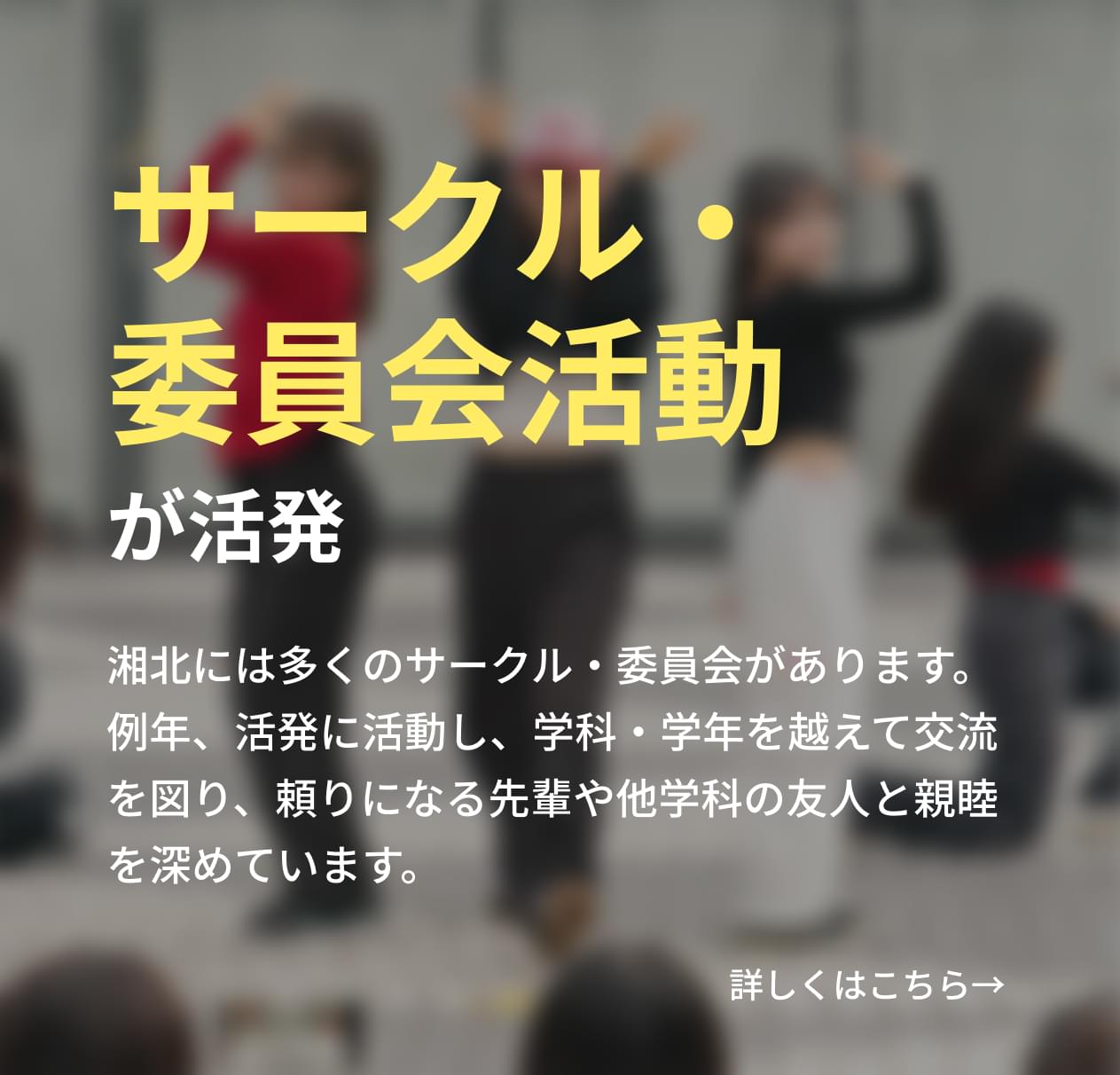 湘北には多くのサークル・委員会があります。例年、活発に活動し、学科・学年を越えて交流を図り、頼りになる先輩や他学科の友人と親睦を深めています。