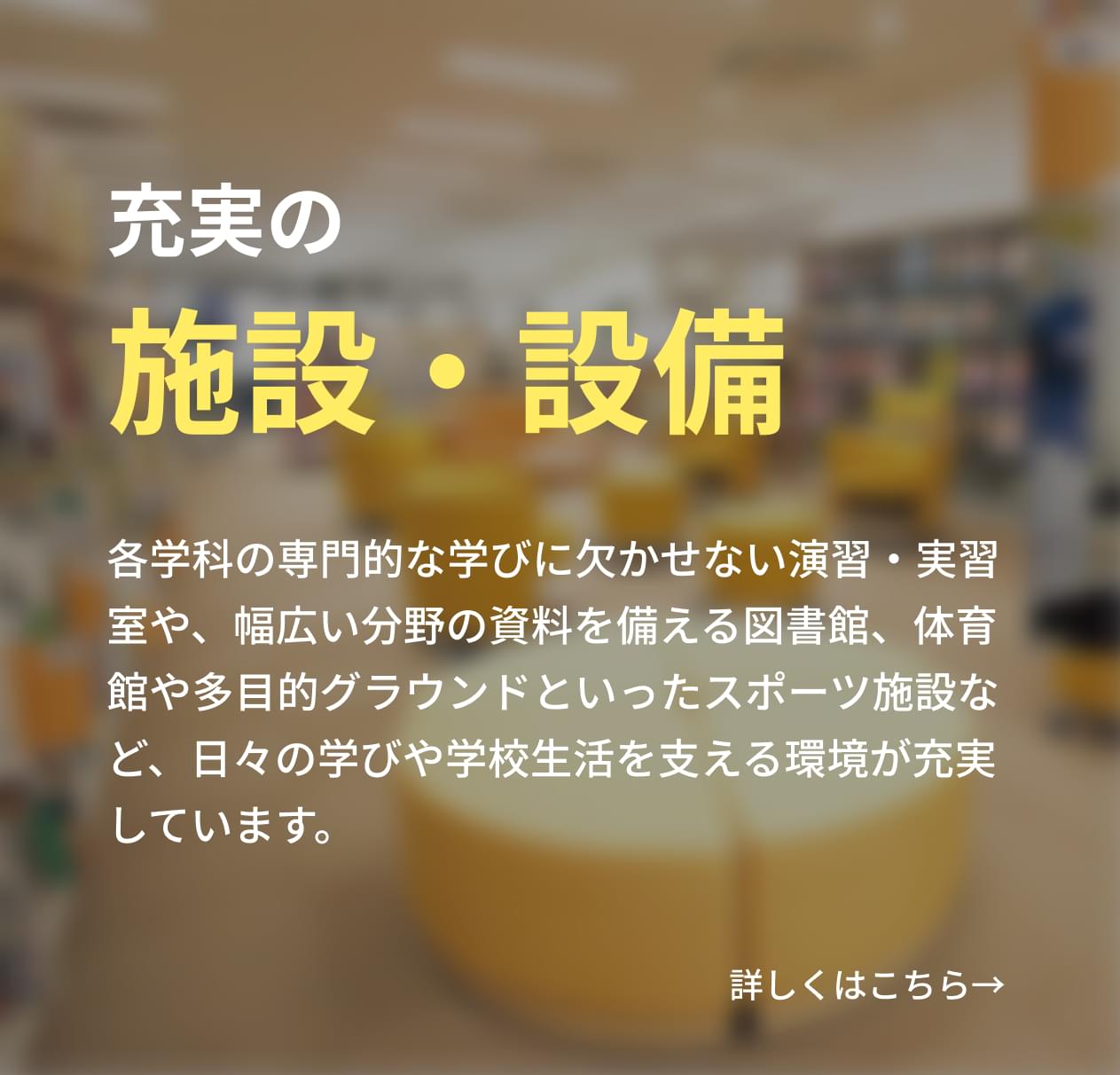 各学科の専門的な学びに欠かせない演習・実習室や、幅広い分野の資料を備える図書館、体育館や多目的グラウンドといったスポーツ施設など、日々の学びや学校生活を支える環境が充実しています。