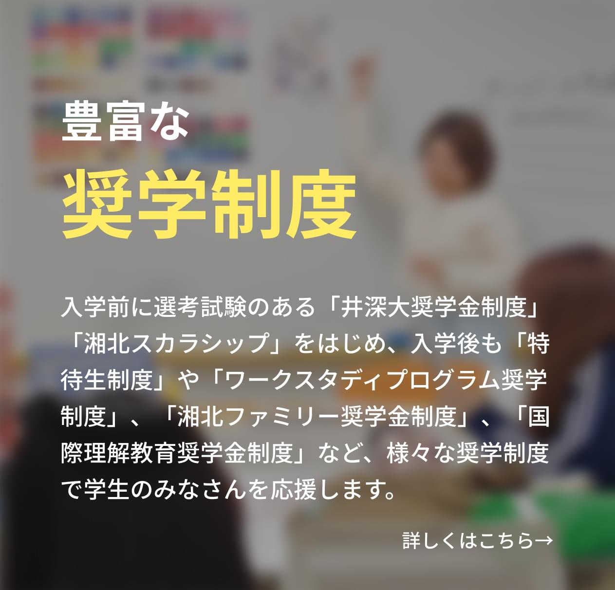 入学前に選考試験のある「井深大奨学金制度」「湘北スカラシップ」をはじめ、入学後も「特待生制度」や「ワークスタディプログラム奨学制度」、「湘北ファミリー奨学金制度」、「国際理解教育奨学金制度」など、様々な奨学制度で学生のみなさんを応援します。