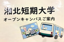 miniopencumpus_bus.jpg