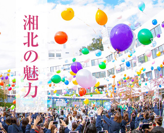 湘北の魅力