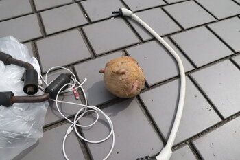 ゴミ①.JPG