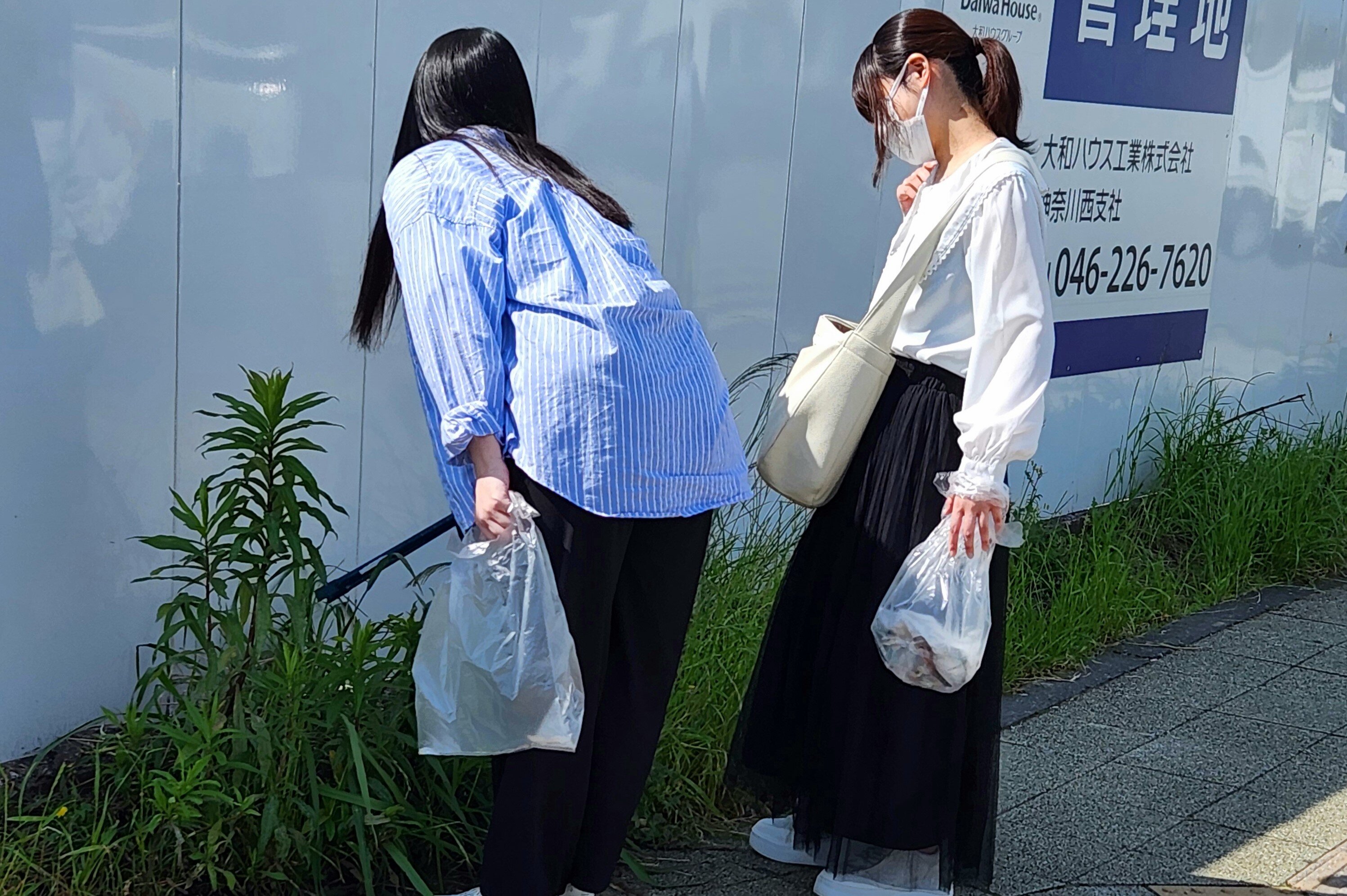 https://www.shohoku.ac.jp/total/images/20240515_083725.jpg