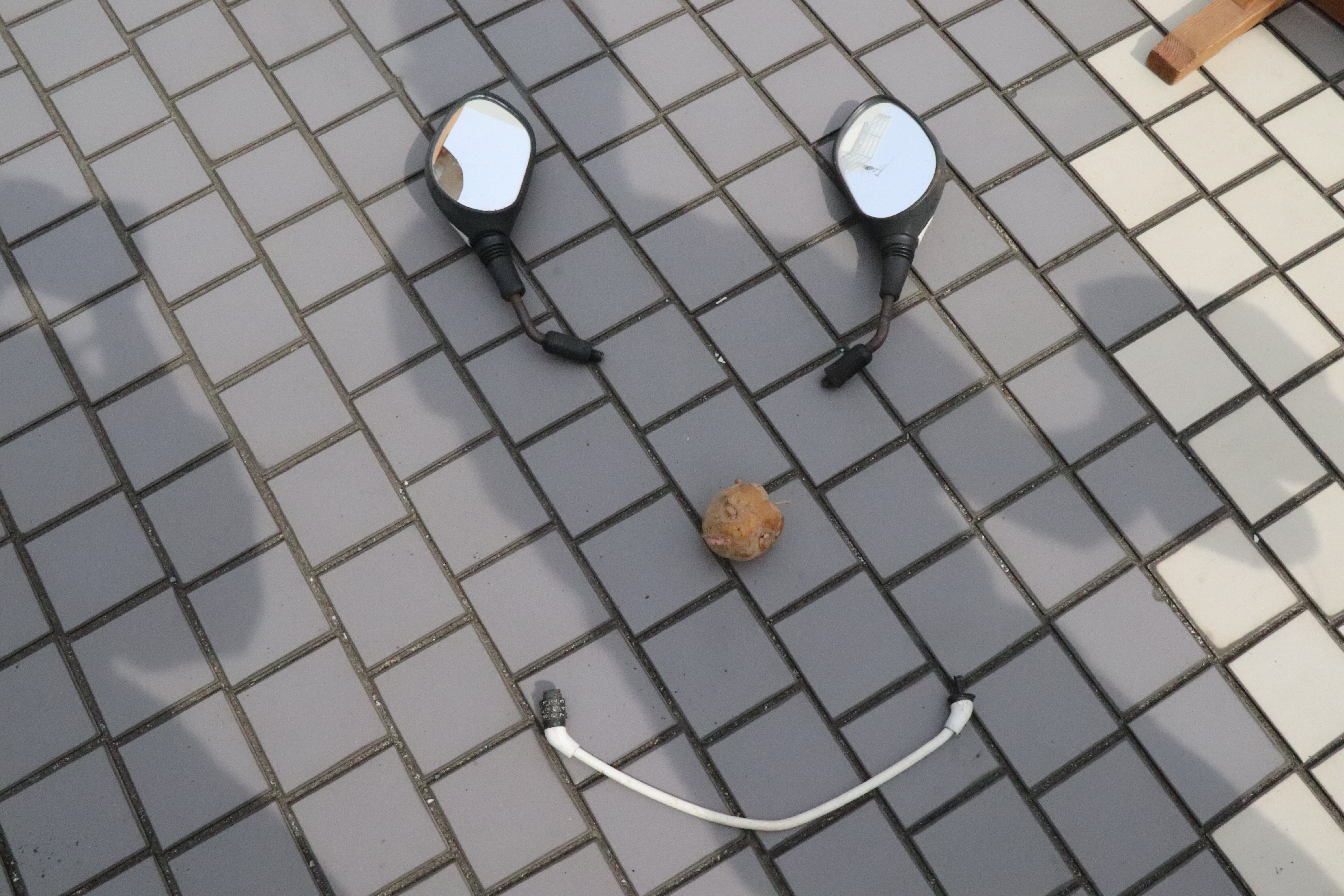 https://www.shohoku.ac.jp/total/images/6a7102cf5b7f467d7781324a0ddb3a06d7ef1b15.JPG